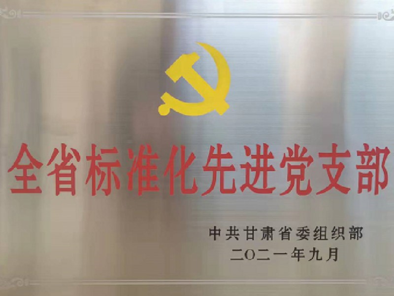 全省標(biāo)準(zhǔn)化先進黨支部